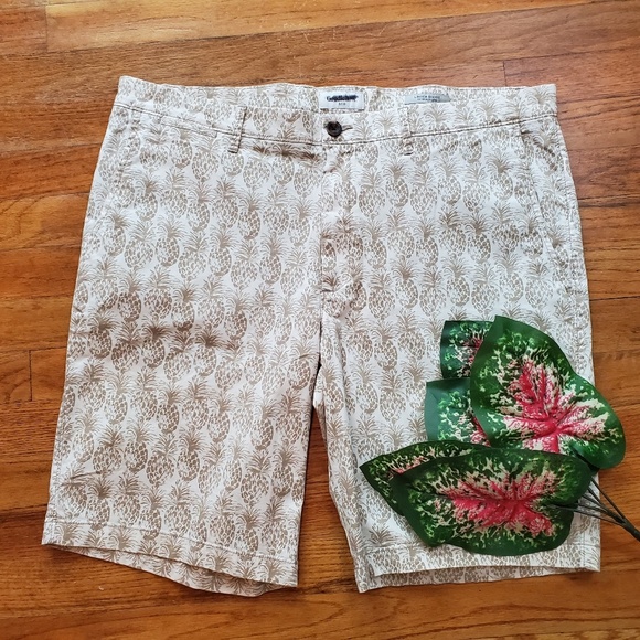 Goodfellow & Co Other - Goodfellow Khaki Linden Pineapple Shorts Sz 40